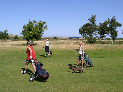 Prøv at spille golf på Læsøs seaside-bane